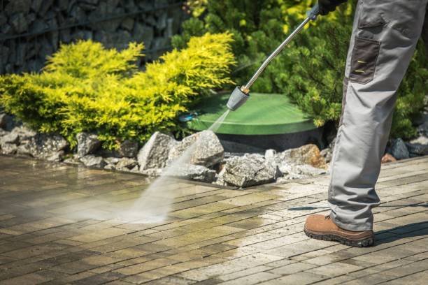 Best Winterizing Services  in New Athens, IL